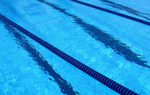 Coupe du nageur olympique - 3